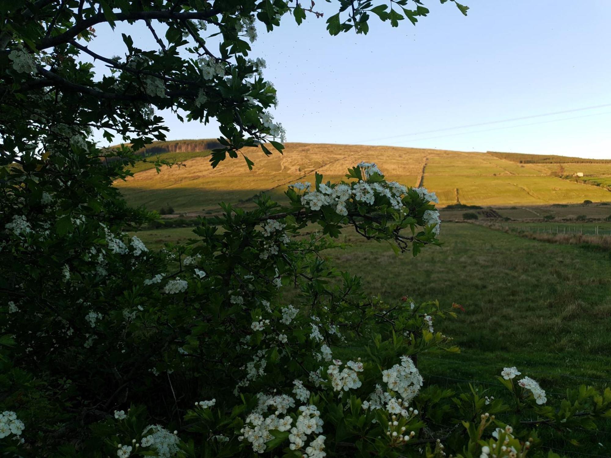 An Charraig Ban On The Wild Atlantic Way F94Wt02 Bed & Breakfast Ardara Exterior foto